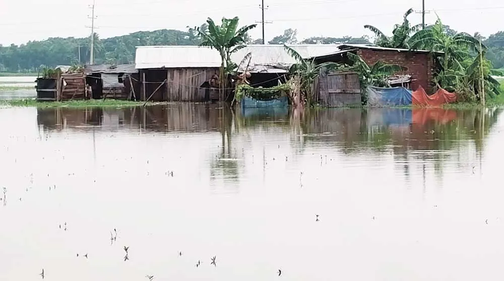 কোটচাঁদপুরে পানি নিষ্কাশনের খালে অবৈধভাবে ক্লিনিক স্থাপন তলিয়ে গেছে ফসলের মাঠ ॥ পানিবন্দী বহু পরিবার