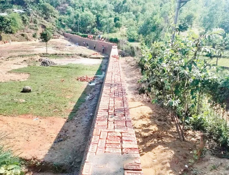 নানা কারণে টেকনাফ বনাঞ্চলে জীববৈচিত্র্য হুমকির মুখে