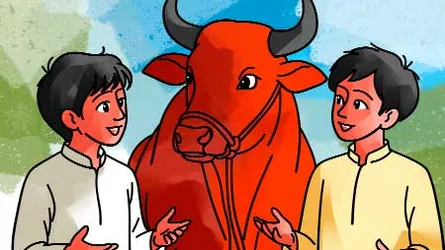 লাল গরু ও এক চিলতে জোছনা