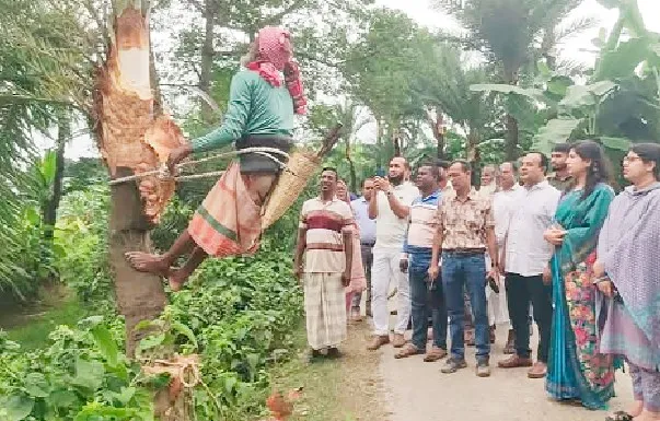 যশোরের জিআই পণ্য খেজুরগুড় সংগ্রহে চৌগাছায় গাছ কাটার উদ্বোধন
