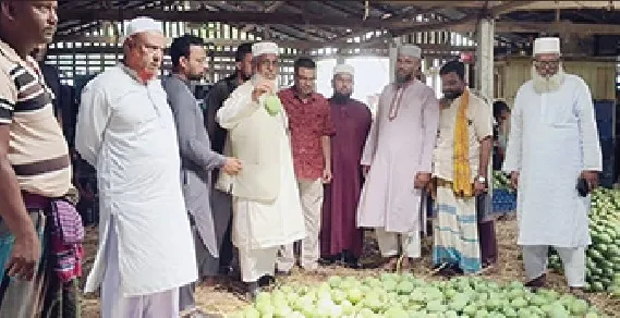 আম বাজার পরিদর্শনে অধ্যক্ষ ইজ্জত উল্লাহ এমপি