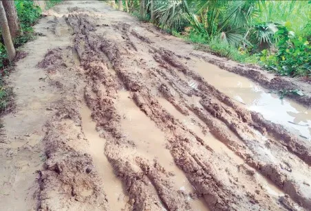 রাজৈরে গ্রামীণ রাস্তার বেহাল দশা ভোগান্তিতে হাজারো মানুষ
