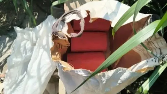 কুমারখালীতে বিএনপি প্রার্থীর অফিসের পাশ থেকে ১০টি হাতবোমা উদ্ধার