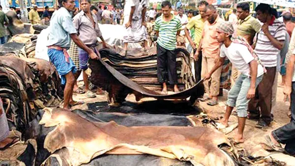 নানা সংকটে থমকে আছে দেশের চামড়াশিল্প