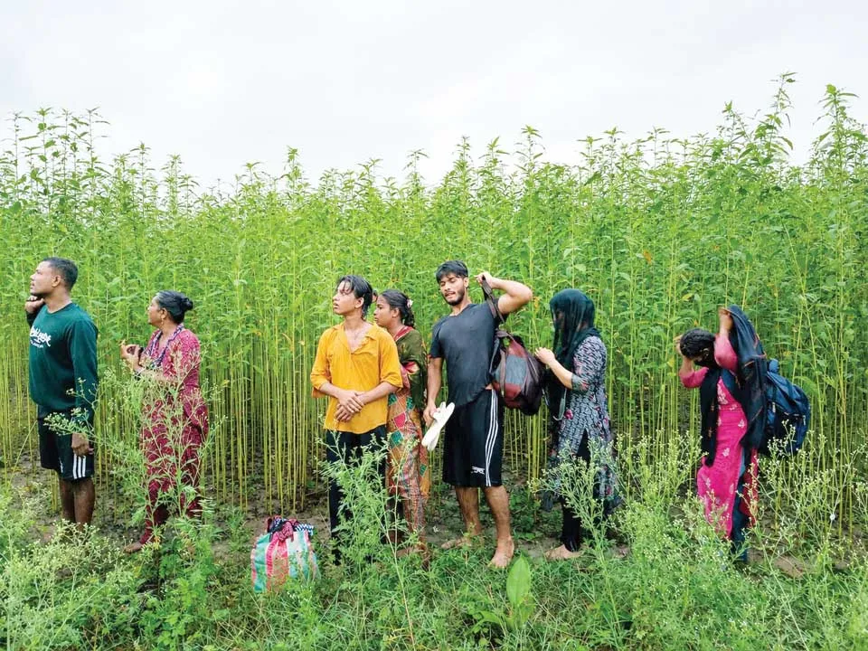 দৌলতপুর সীমান্তে ৮জনকে পুশইন চেষ্টা রুখে দিয়েছে বিজিবি