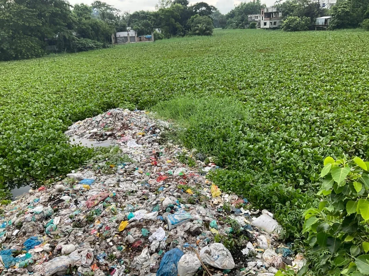 আবর্জনায় ভরাট কালাডুমুর নদী পরিবেশে বিপর্যয়