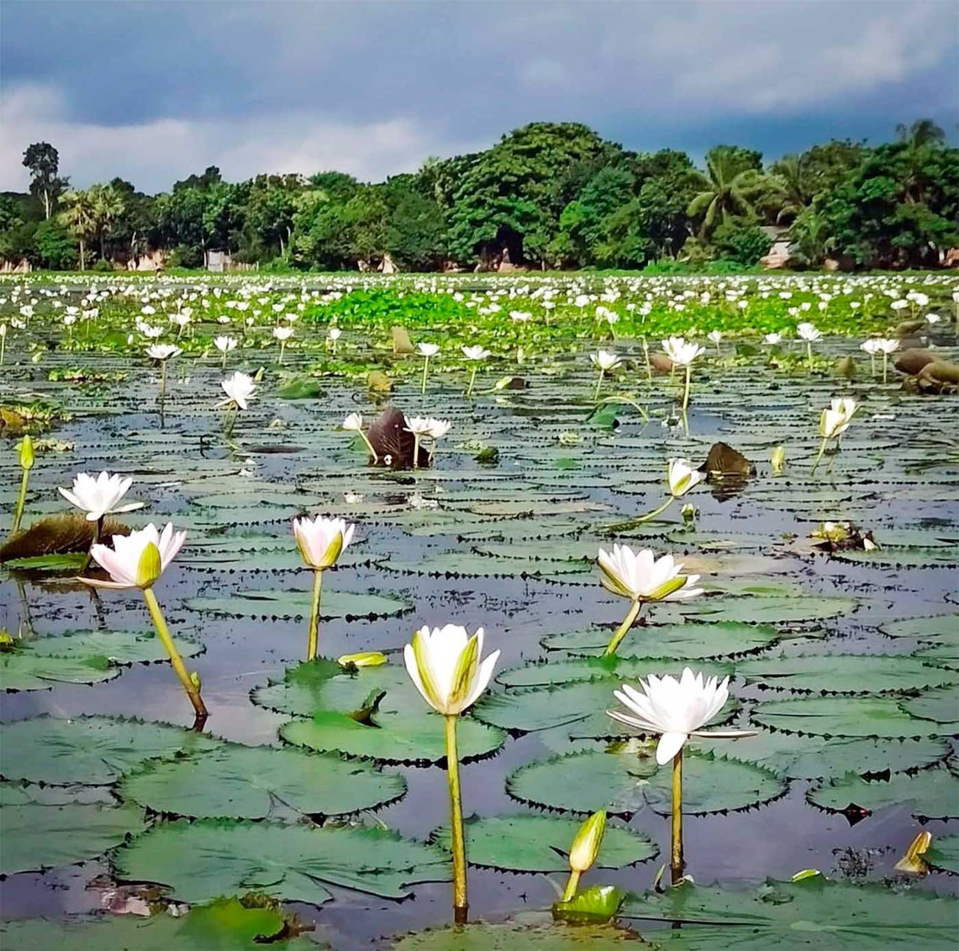 Faridpur