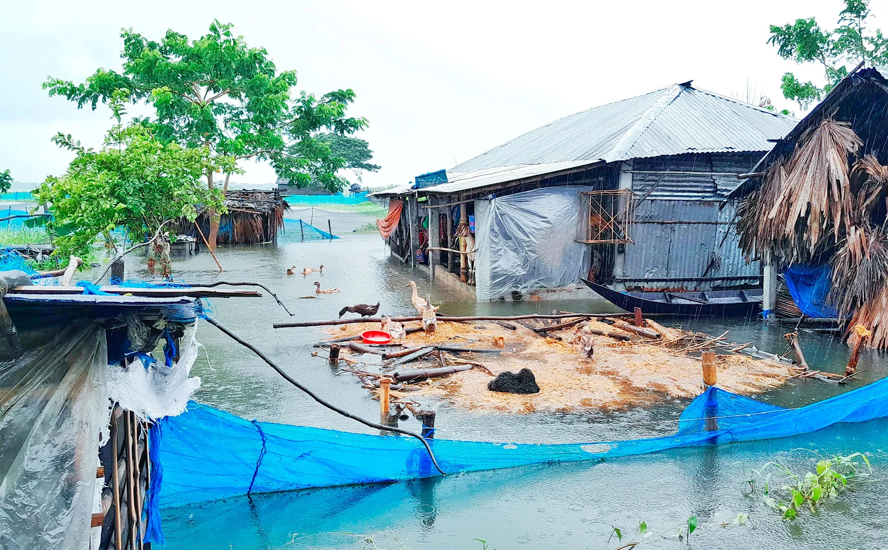 অতি বৃষ্টির সাথে বাড়ছে জলাবদ্ধতা ভবদহ পাড়ের মানুষ আতঙ্কে