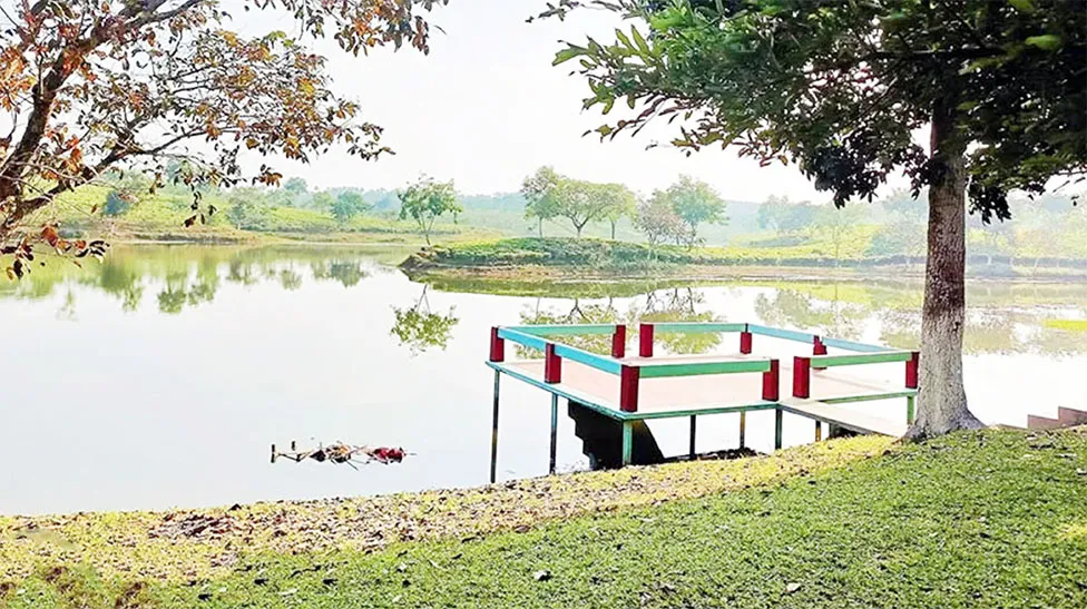 কমলগঞ্জে চা বাগান ঘেরা নয়নাভিরাম ক্যামেলিয়া লেক