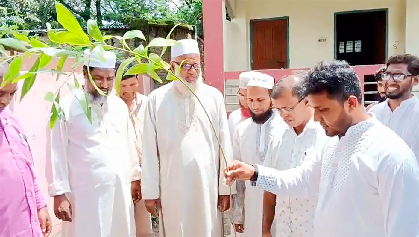 জামায়াতের উদ্যোগে বৃক্ষরোপণ