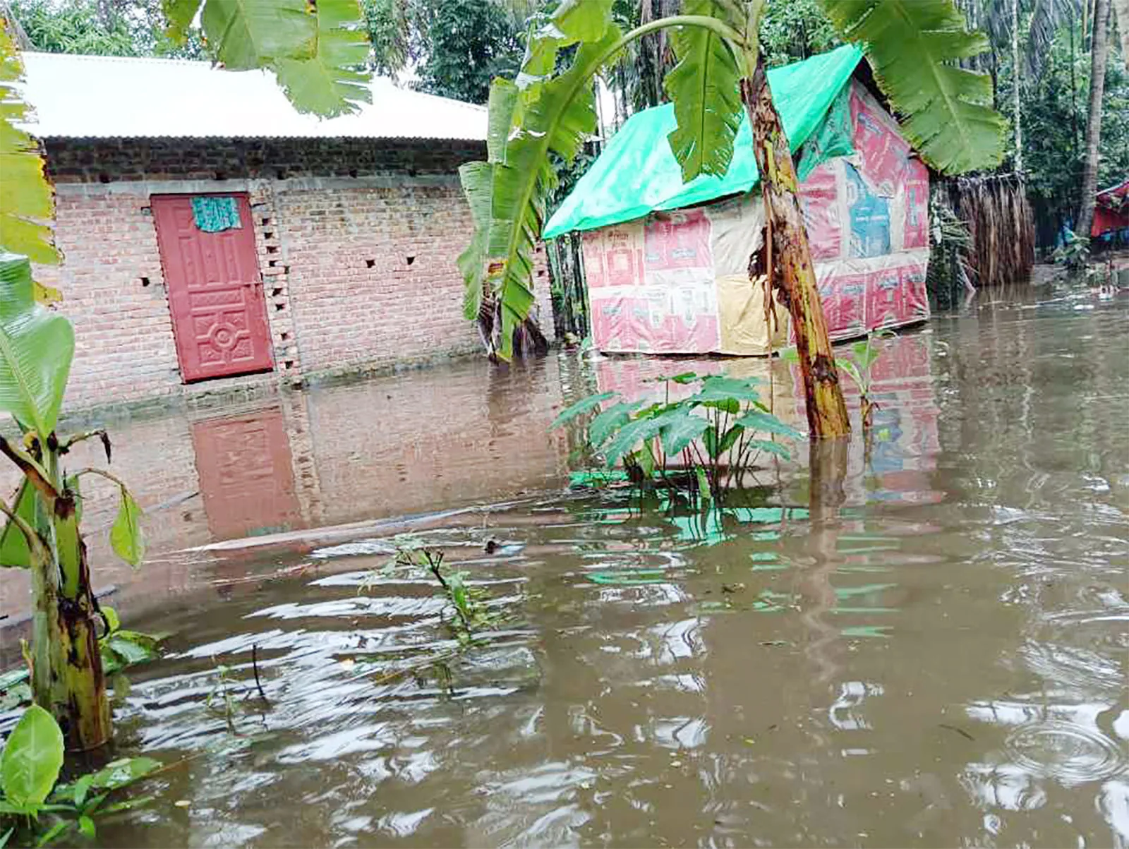 জোয়ার ও টানা বৃষ্টিতে কমলনগরের মেঘনা উপকূল এলাকা প্লাবিত