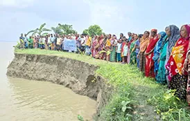 হরিরামপুরে পদ্মার ভাঙনে দিশা হারান তীরবর্তী মানুষ