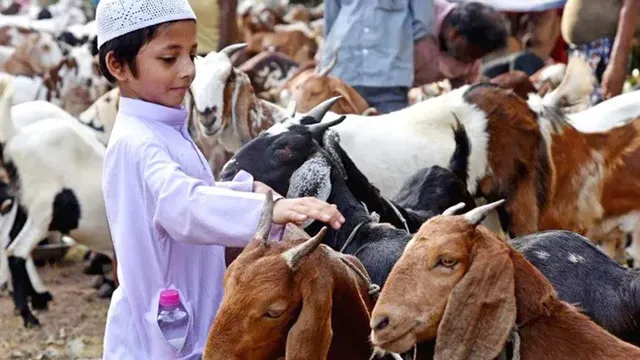 কতটুকু সম্পদ থাকলে কুরবানি দিতে হয়
