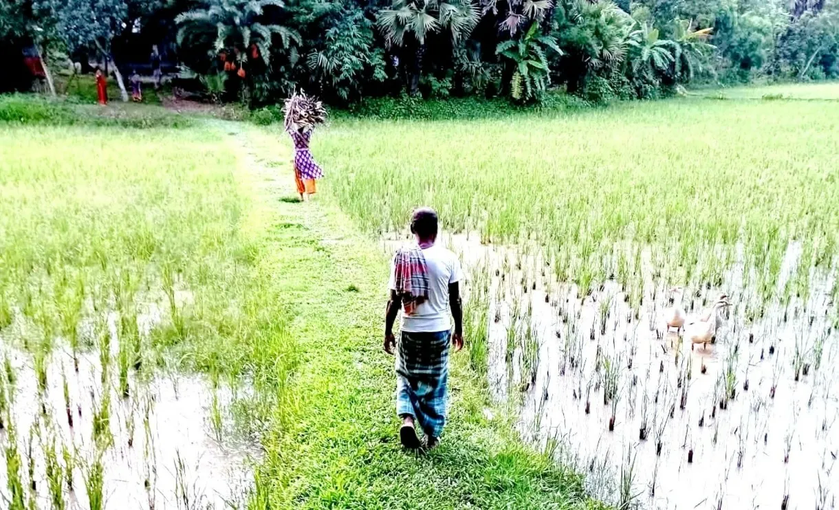 শ্রীপুরে মাত্র ২৫০ ফুট রাস্তার জন্য ৫০ বছরের দুর্ভোগ