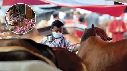 কোরবানির গোশত বণ্টনের বিধান জেনে নিন