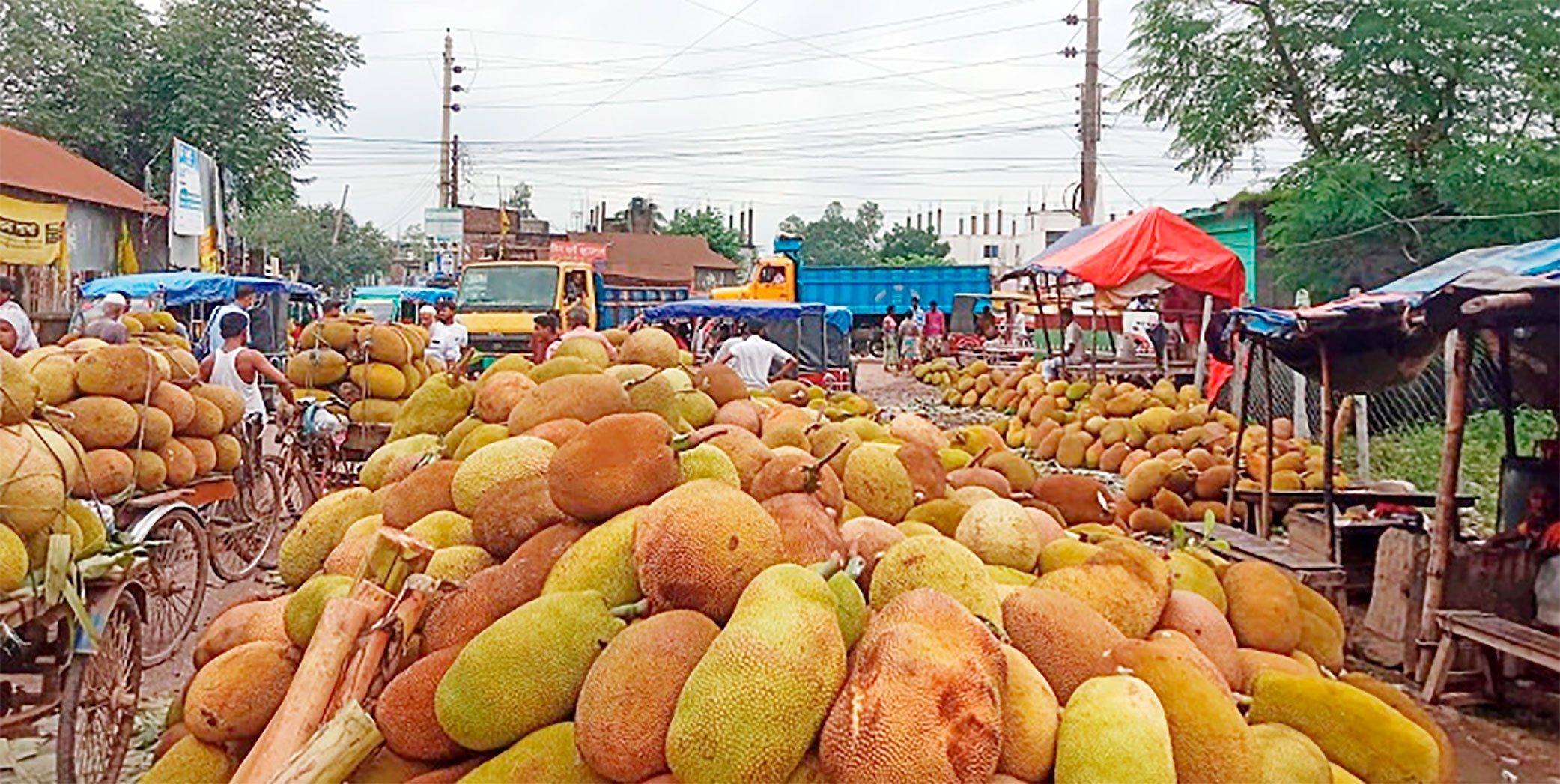 Shakipur