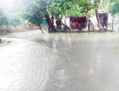 ইন্দুরকানীতে জোয়ারের পানিতে অর্ধশত গ্রাম প্লাবিত