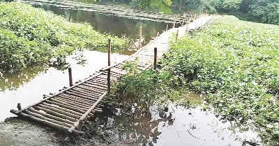কালীগঞ্জে বেগবতি নদীর উপর বাঁশের সাকো চলাচলের একমাত্র ভরসা