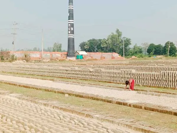 মির্জাপুরে পরিবেশ অধিদপ্তরের ছাড়পত্র ছাড়া চলছে অবৈধ ইটভাটা