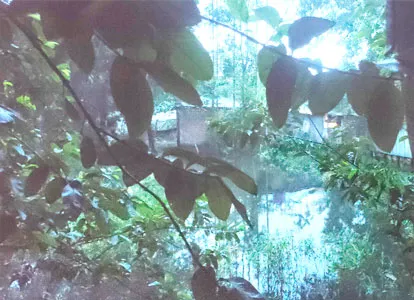 ঈদগাঁওতে দু’গ্রামের দুর্ভোগ কবে শেষ হবে?