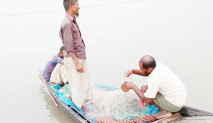 সুন্দরবন সংলগ্ন নদীতে মিলছে না কাক্সিক্ষত ইলিশ, হতাশ জেলেরা