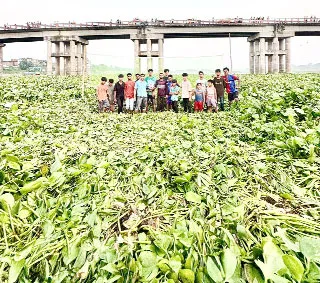 কচুরিপানার দখলে খরস্রোতা ধনাগোদা নদীর বুক এখন একখ- খেলার মাঠ