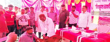 শার্শায় গবাদি পশুর এলএসডি রোগের  বিনামূল্যে ভ্যাকসিনেশন ক্যাম্পইন
