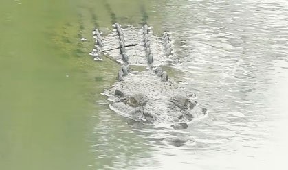 Untitled-2