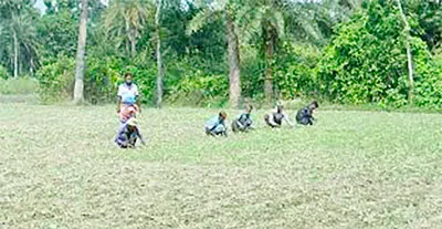 বৃষ্টিতে শীতকালীন সবজি চাষে পিছিয়ে কালিগঞ্জের কৃষকরা