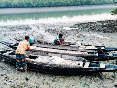 সুন্দরবনের দ্বার উন্মুক্ত ॥ স্বস্তির হাসি জেলে বাওয়ালিদের
