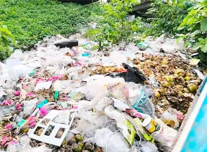 বাজারের ময়লা ফেলা হচ্ছে তিতাস নদীর পাড়ে দুর্ভোগের শিকার মানুষ