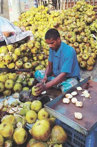 গ্রীষ্মকালে তাল শাঁসের  কদর
