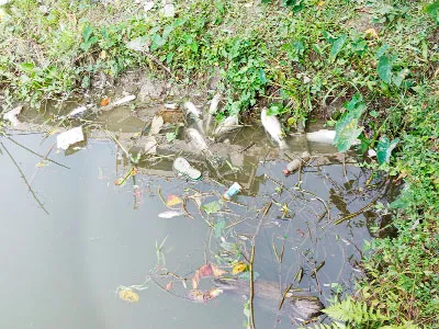 বাউফলে পূর্ব বিরোধের জেরে তিন পুকুরে বিষ পাঁচ লাখ টাকার মাছ ধ্বংস