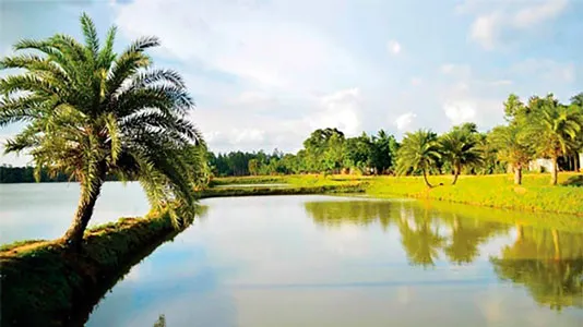 চলনবিলের জয়সাগর দিঘীটি ঐতিহ্য হারাচ্ছে