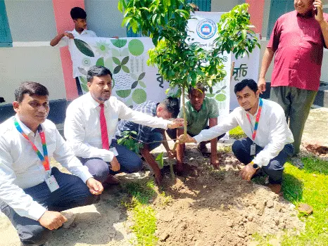 সিটি ব্যাংকের বৃক্ষরোপণ কর্মসূচি