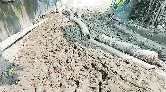 কলারোয়ায় আহসাননগর রাস্তার বেহাল দশা