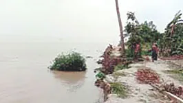 মানিকগঞ্জে নদী ভাঙন : তীরবর্তী ৬৪ টি স্থান ঝুঁকিপূর্ণ