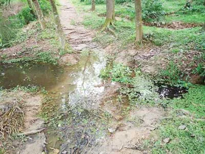 কাপাসিয়ায় বেগুনহাটি রাস্তার বেহাল দশা ভোগান্তিতে হাজার  শিক্ষার্থী ও মানুষ