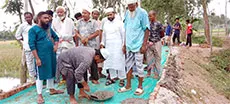 সৈয়দপুরে জামায়তের উদ্যোগে রাস্তা সংস্কার