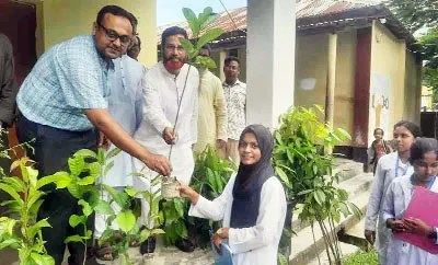 ভূরুঙ্গামারীতে তিন হাজার চারা বিতরণ