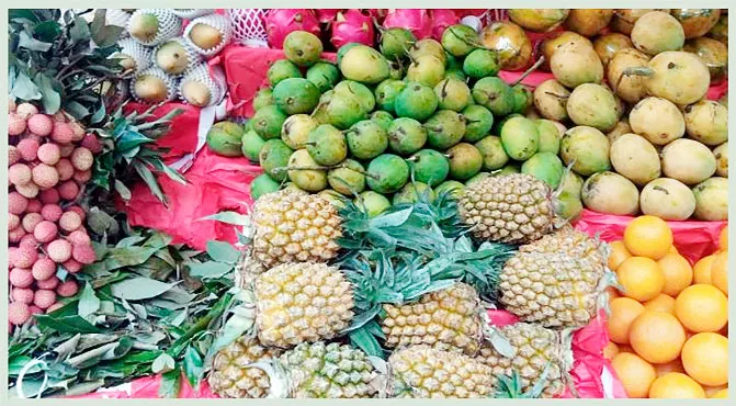 মওসুমী ফল পরিবহনে সরকারি পোস্টাল বিভাগের স্বল্প মূল্যে ‘স্পিড পোস্ট’ সেবা চালু