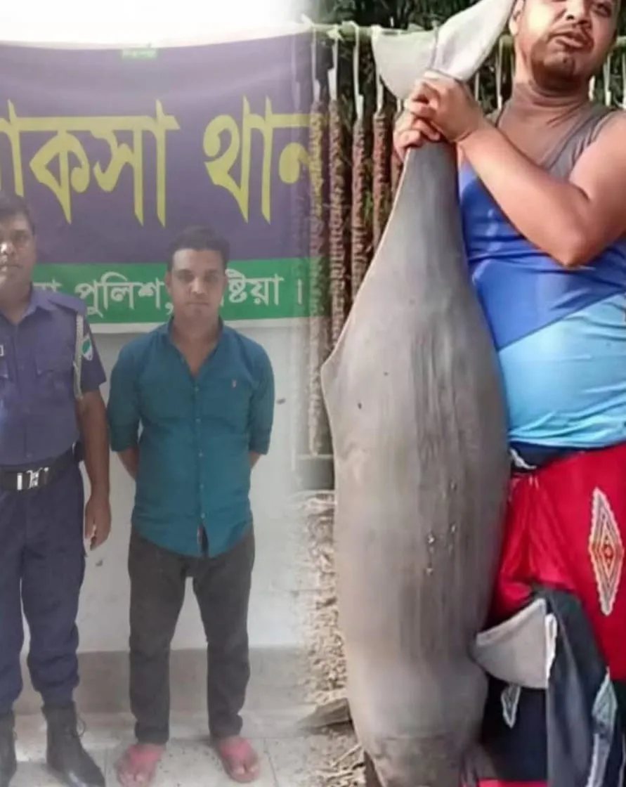 বিলুপ্তপ্রায় শুশুক ধরে ভিডিও ছড়ানোয় খোকসায় যুবক গ্রেপ্তার