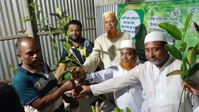 নাগরপুরে যুব জামায়াতের বৃক্ষরোপণ ও গাছের চারা বিতরণ