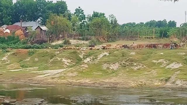 চরসাদীপুর ও পাবনার চরভবানীপুর যেন বিচ্ছিন্ন দ্বীপ