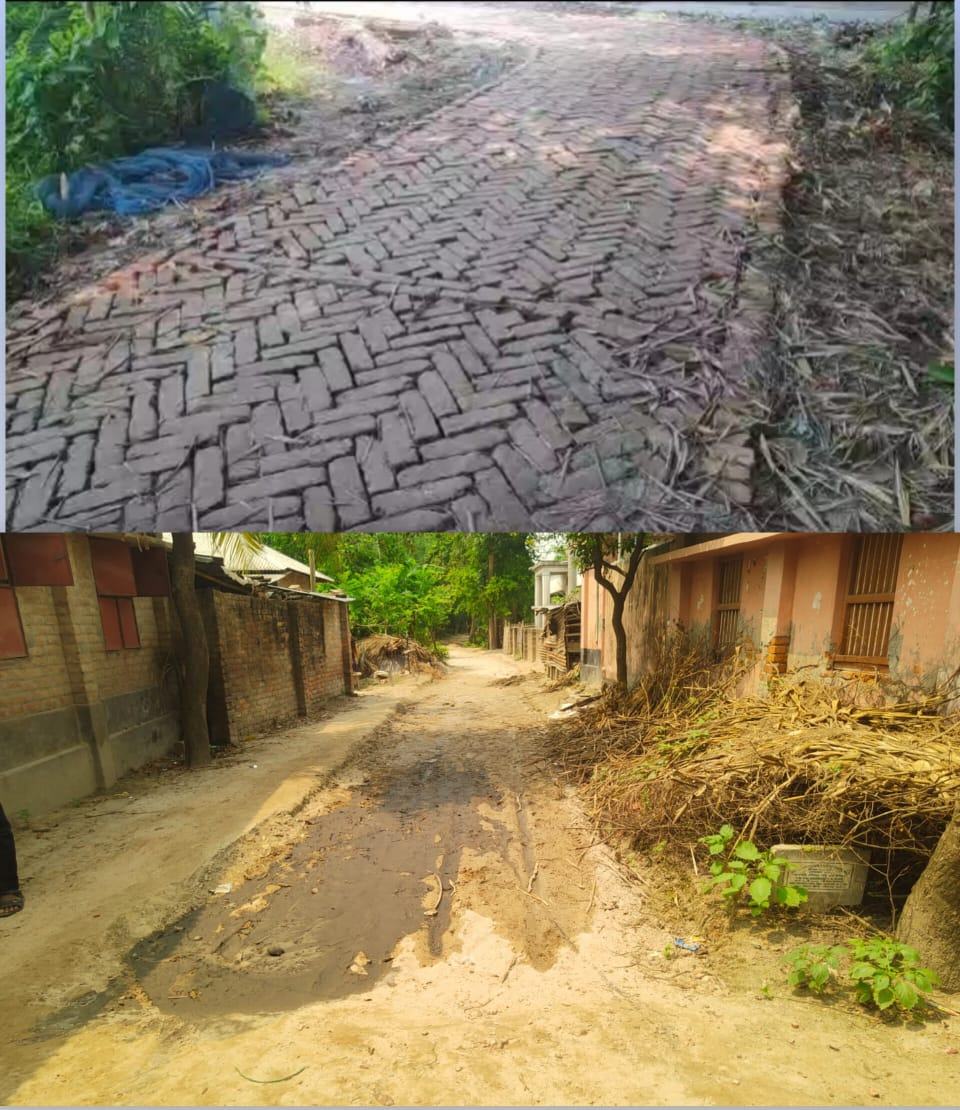 বাগাতিপাড়া-