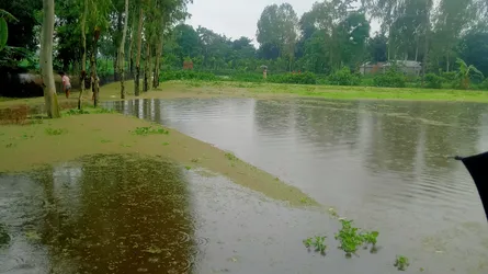 কুড়িগ্রামের ভূরুঙ্গামারীতে বন‍‍্যায় নিম্নাঞ্চল প্লাবিত, পানি বন্দী ৩ হাজার মানুষ
