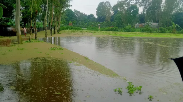 কুড়িগ্রামের ভূরুঙ্গামারীতে বন‍‍্যায় নিম্নাঞ্চল প্লাবিত, পানি বন্দী ৩ হাজার মানুষ