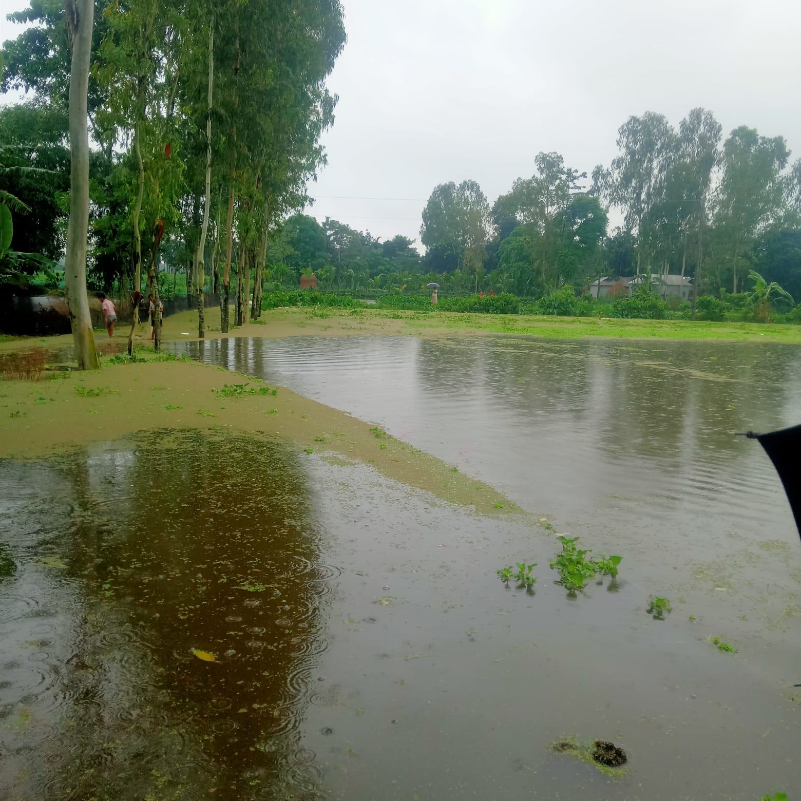 ভূরুঙ্গামারীতে বন__্যায় নিম্নাঞ্চল প্লাবিত, পানি বন্দী ৩ হাজার মানুষ
