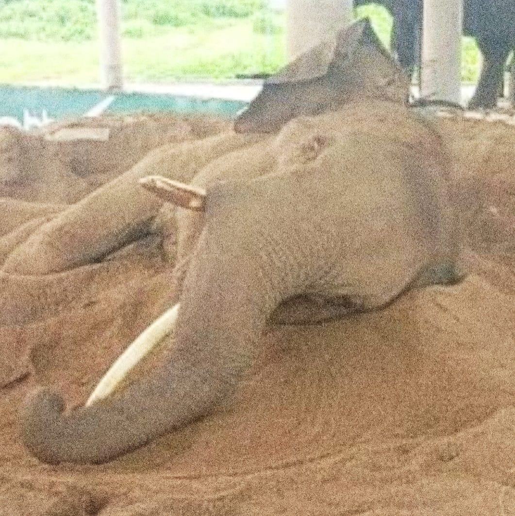 বালুর বিছানায় শুয়ে বাঁচার লড়াইয়ে ‘রাজু বাহাদুর’