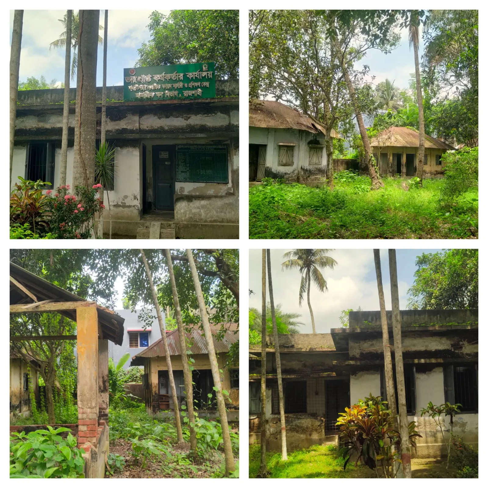 জরাজীর্ণ ভবন ও জনবল সংকটে বেহাল বাগাতিপাড়া সামাজিক বন বিভাগ, কোয়ার্টারগুলো যেন ভুতুড়ে বাড়ি